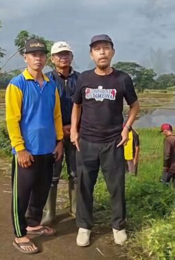 Gropyokan Tikus Digelar di Minggir Sleman, DPKP DIY Tekankan Pengendalian OPT