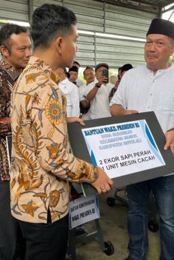 Wapres Gibran Kunjungi Peternak Sapi di Boyolali, Tekankan Penanganan Cepat PMK