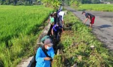 Sleman Gelar Gerakan Irigasi Bersih 12 April 2026, Jaga Aliran Air ke Sawah
