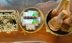 Kirab Pamong DIY Sambut 80 Tahun Sri Sultan HB X, Argomulyo Bawa Pisungsung Hasil Bumi