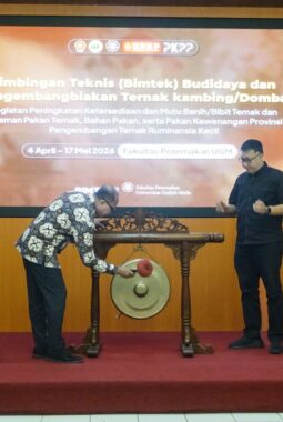 DPKP DIY Gelar Bimtek Kambing-Domba 2026, Perkuat Peternakan Berkelanjutan Berbasis Kearifan Lokal