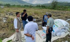BULOG DIY Serap 101 Ribu Ton Beras, Jaga Harga dan Stok Tetap Stabil
