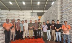 Bapanas dan BULOG Uji Coba Penyaluran Jagung SPHP untuk Peternak DIY